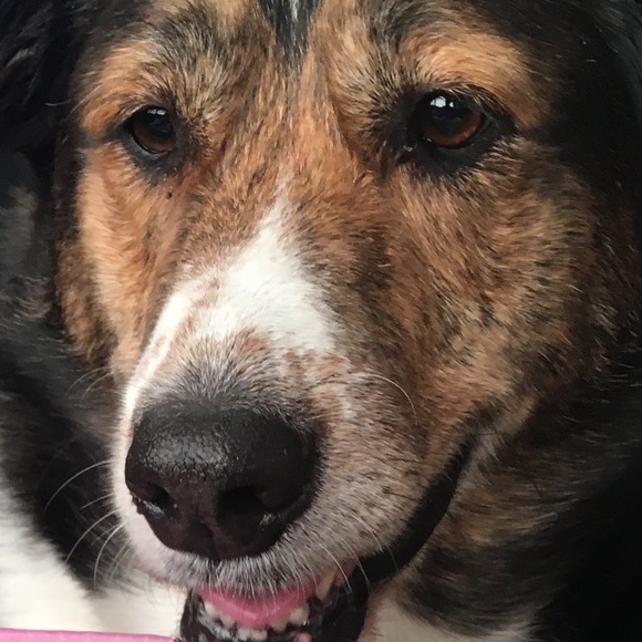 Meet your Posher, David - Picture 1 of 1